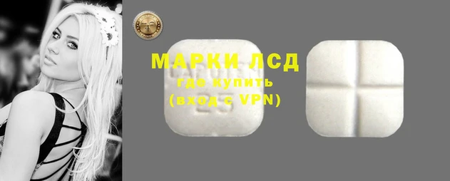 прущие грибы Красноперекопск