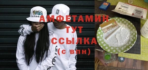 стаф Алексин