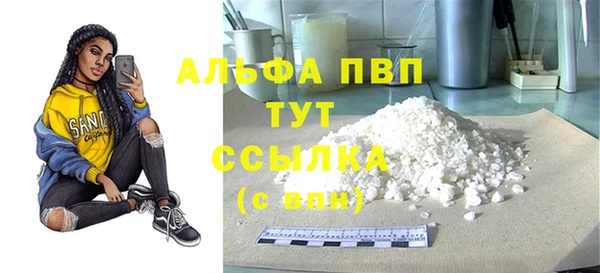 стаф Алексин