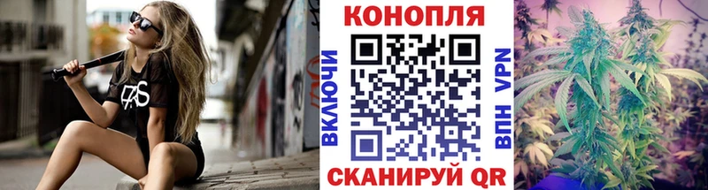 Каннабис планчик  купить  цена  Тейково 